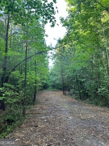 28.74 acres located just minutes from Elberton and Lake Russ - image 34