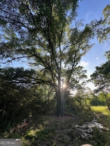 28.74 acres located just minutes from Elberton and Lake Russ - image 31