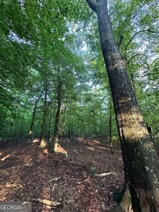 28.74 acres located just minutes from Elberton and Lake Russ - image 24