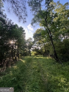 28.74 acres located just minutes from Elberton and Lake Russ - image 41