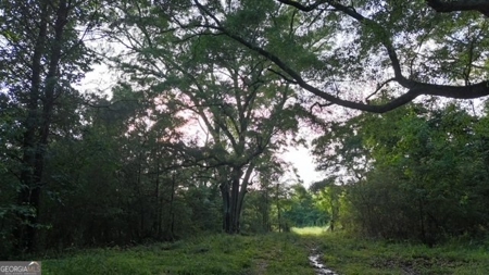 28.74 acres located just minutes from Elberton and Lake Russ - image 49