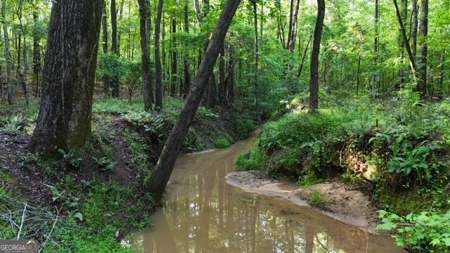 28.74 acres located just minutes from Elberton and Lake Russ - image 50