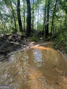 28.74 acres located just minutes from Elberton and Lake Russ - image 19