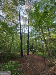 28.74 acres located just minutes from Elberton and Lake Russ - image 33