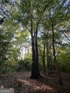 28.74 acres located just minutes from Elberton and Lake Russ - image 38