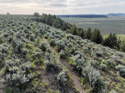Eastern Oregon Wrights Point Ranchette - image 5