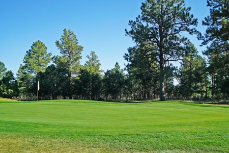Ridgway Colorado Mountain Views Land for Sale Golf Hike Bike - image 3