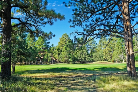 Ridgway Colorado Mountain Views Land for Sale Golf Hike Bike - image 4
