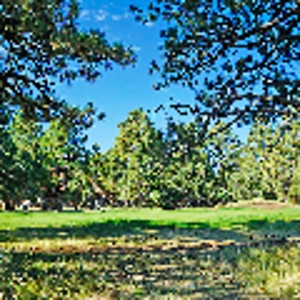 Ridgway Colorado Mountain Views Land for Sale Golf Hike Bike - image 15