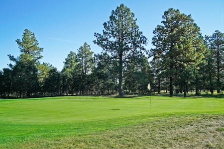Ridgway Colorado Mountain Views Land for Sale Golf Hike Bike - image 2