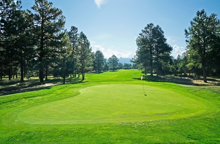 Ridgway Colorado Mountain Views Land for Sale Golf Hike Bike - image 1