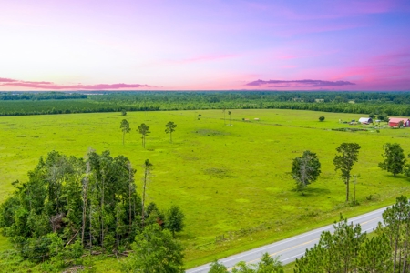 40.1 Acres Of Cleared And Fenced Land For Sale! - image 15