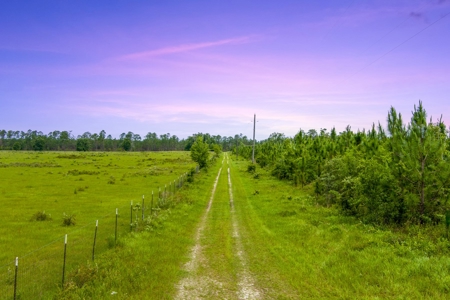40.1 Acres Of Cleared And Fenced Land For Sale! - image 12