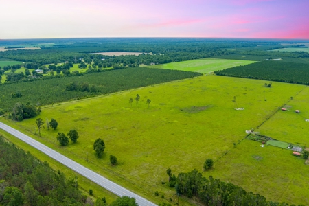 40.1 Acres Of Cleared And Fenced Land For Sale! - image 8