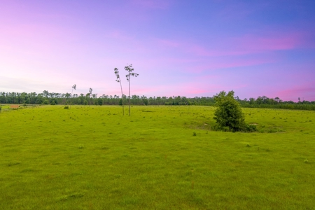 40.1 Acres Of Cleared And Fenced Land For Sale! - image 3