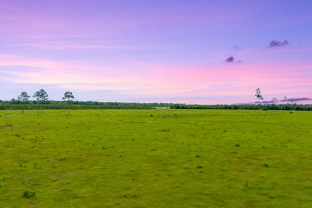 40.1 Acres Of Cleared And Fenced Land For Sale! - image 9