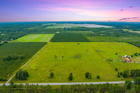 40.1 Acres Of Cleared And Fenced Land For Sale! - image 5