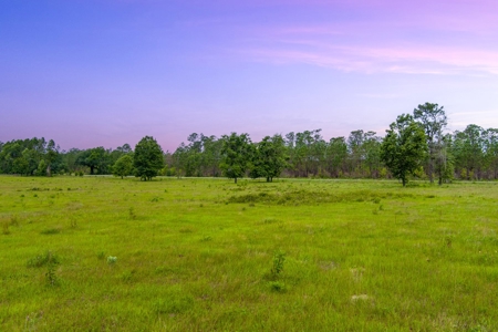 40.1 Acres Of Cleared And Fenced Land For Sale! - image 10
