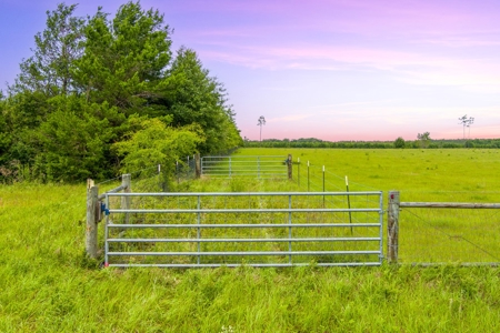 40.1 Acres Of Cleared And Fenced Land For Sale! - image 16