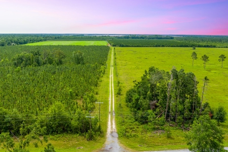 40.1 Acres Of Cleared And Fenced Land For Sale! - image 14