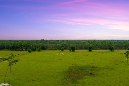 40.1 Acres Of Cleared And Fenced Land For Sale! - image 4