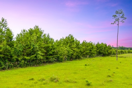40.1 Acres Of Cleared And Fenced Land For Sale! - image 13
