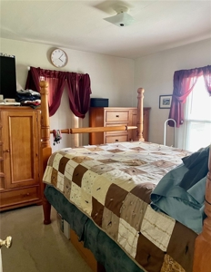 Country Home For Sale in College Place, WA - image 4