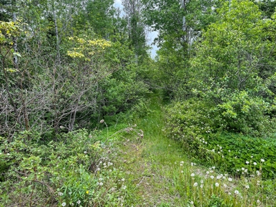 Maine Riverfront Lot - image 5