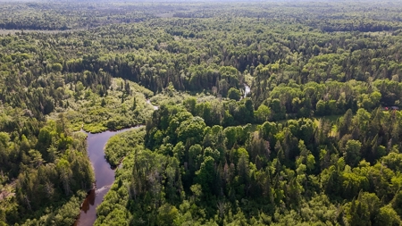 Maine Riverfront Lot - image 13
