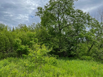 Maine Riverfront Lot - image 8