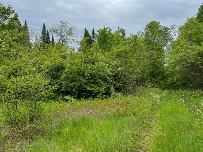 Maine Riverfront Lot - image 7