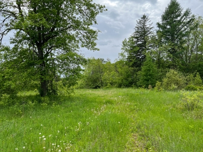 Maine Riverfront Lot - image 6