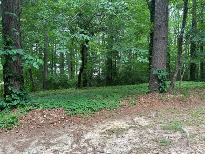 Charming Home in Williamston, NC - image 27