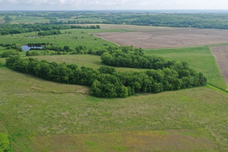 75 Acres m/l with Buildings/ Lake/ Income - image 7