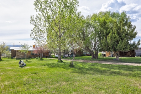 Mancos Colorado Farm Property For Sale! - image 2