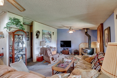Mancos Colorado Farm Property For Sale! - image 11