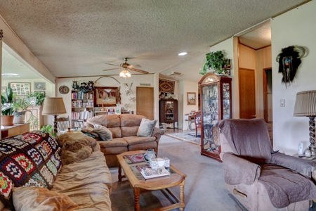 Mancos Colorado Farm Property For Sale! - image 14
