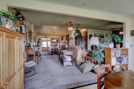 Mancos Colorado Farm Property For Sale! - image 10