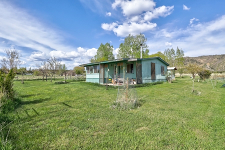 Mancos Colorado Farm Property For Sale! - image 27