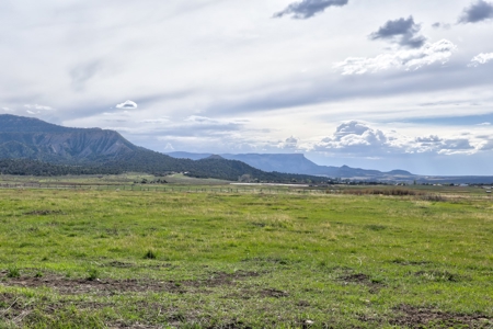 Mancos Colorado Farm Property For Sale! - image 30