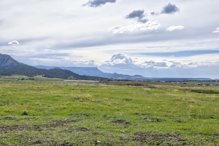 Mancos Colorado Farm Property For Sale! - image 1