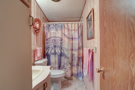 Mancos Colorado Farm Property For Sale! - image 12