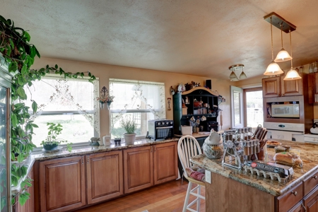 Mancos Colorado Farm Property For Sale! - image 18
