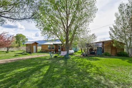 Mancos Colorado Farm Property For Sale! - image 5