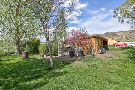 Mancos Colorado Farm Property For Sale! - image 22