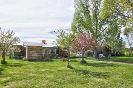 Mancos Colorado Farm Property For Sale! - image 4