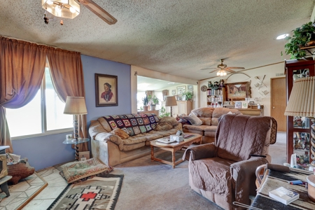 Mancos Colorado Farm Property For Sale! - image 15