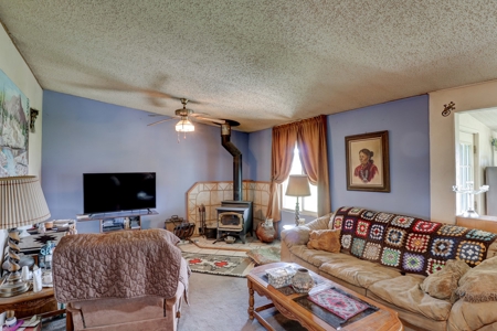 Mancos Colorado Farm Property For Sale! - image 13