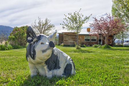 Mancos Colorado Farm Property For Sale! - image 3