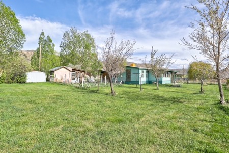 Mancos Colorado Farm Property For Sale! - image 29